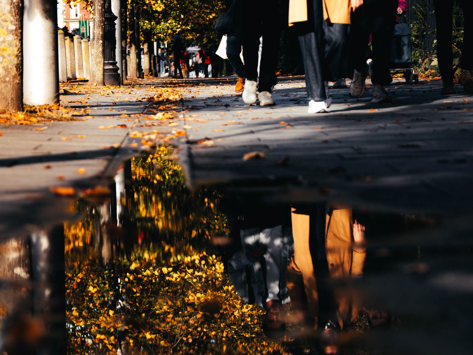 Passers-by and autumn trees reflected in a puddle on the pavement.