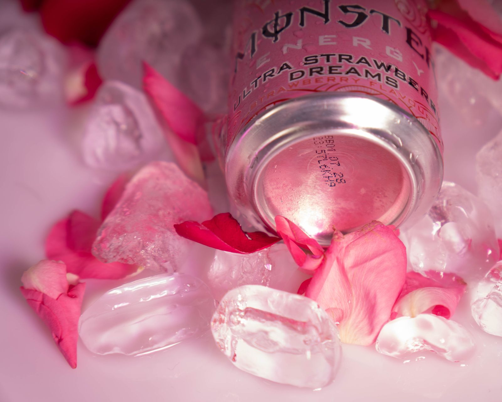 Close-up of the base of the can among ice and red petals.
